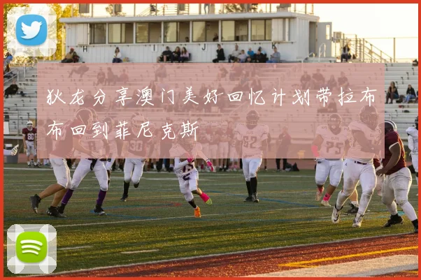 狄龙分享澳门美好回忆计划带拉布布回到菲尼克斯