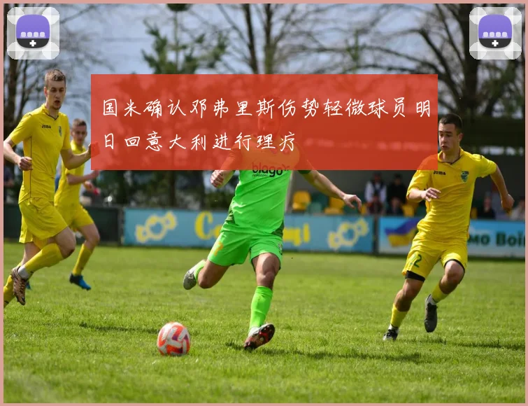 国米确认邓弗里斯伤势轻微球员明日回意大利进行理疗
