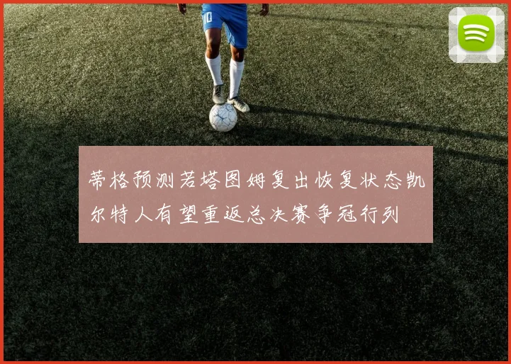 蒂格预测若塔图姆复出恢复状态凯尔特人有望重返总决赛争冠行列