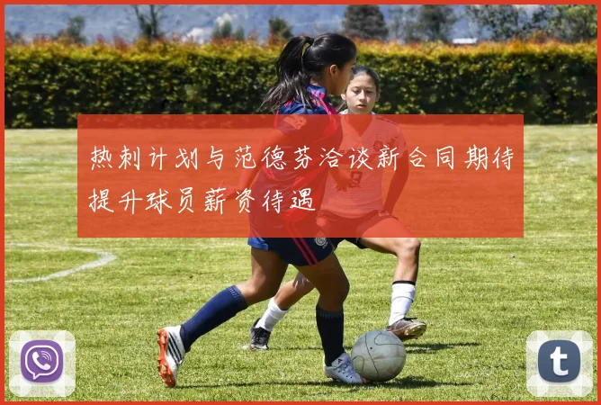 热刺计划与范德芬洽谈新合同期待提升球员薪资待遇