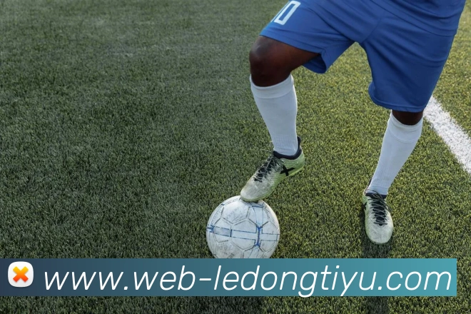 乐动体育发展历程