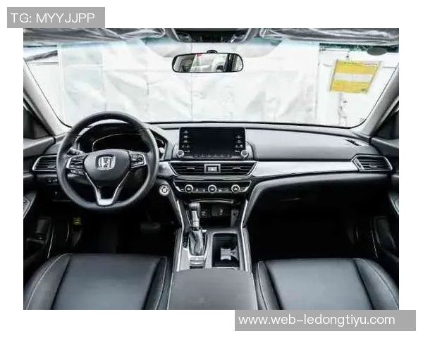 本赛季性价比最高的合同分析里夫斯与吉迪的精彩表现对比