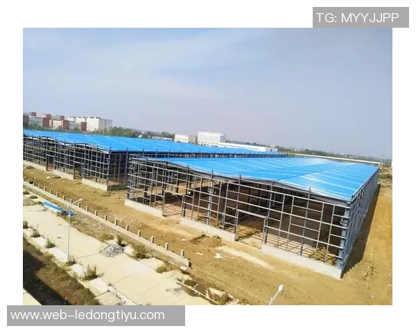 拉斯帕多里面临多重报价正在仔细权衡未来去向